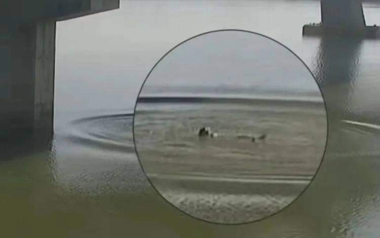 开运-南(nán)京民(mín)警赵邢(xíng)超(chāo)、张超(chāo)华、赵磊，你们救(jiù)人的样子真帅！